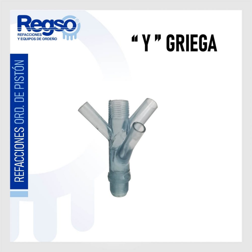 "Y" Griega