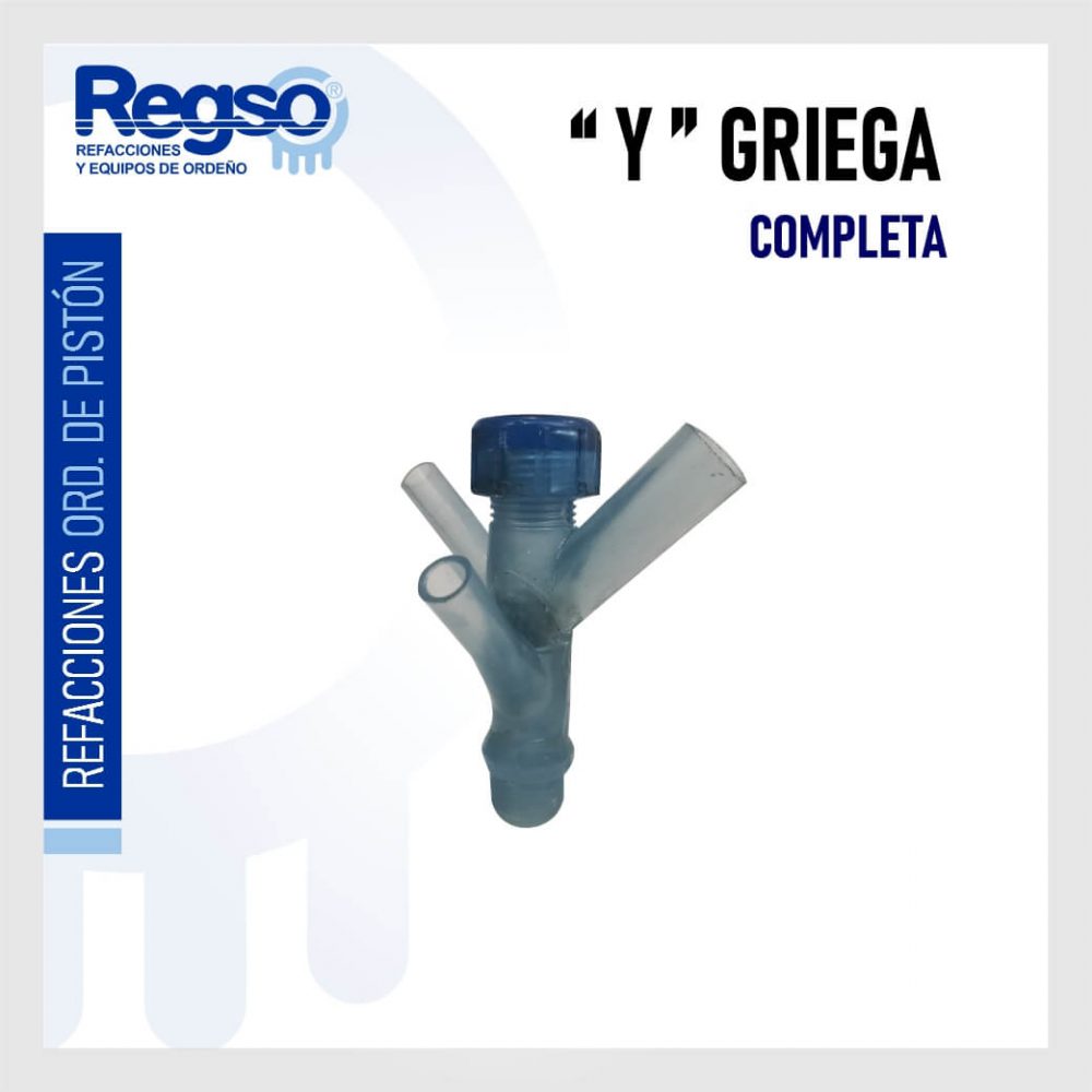 "Y" Griega Completa